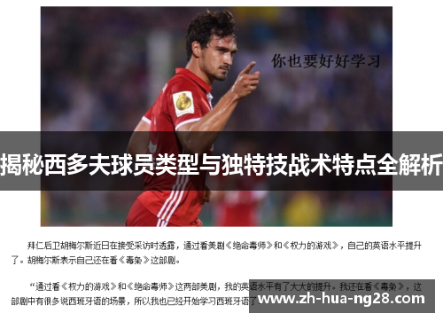 揭秘西多夫球员类型与独特技战术特点全解析