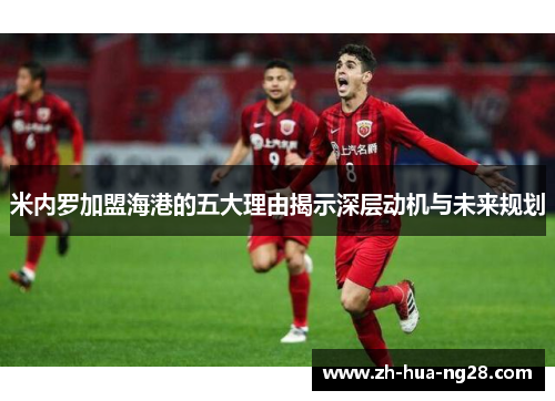 米内罗加盟海港的五大理由揭示深层动机与未来规划