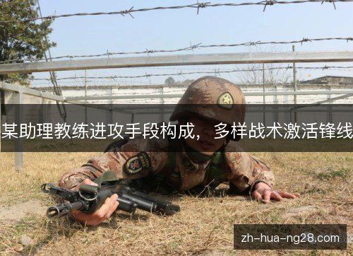 某助理教练进攻手段构成，多样战术激活锋线